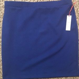 Royal blue skirt